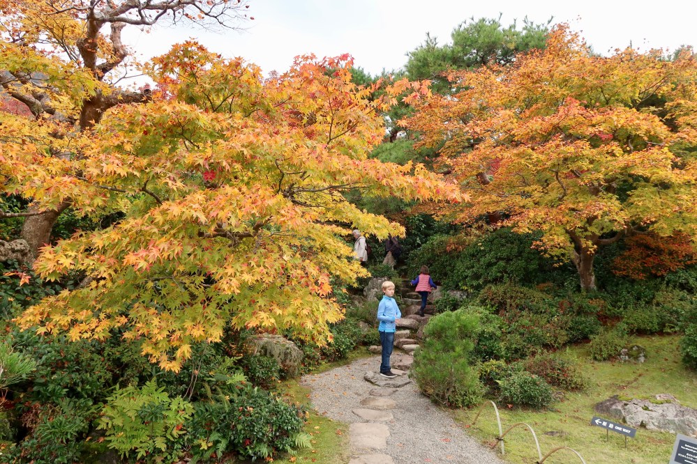 Boy in blue with orange leaves
