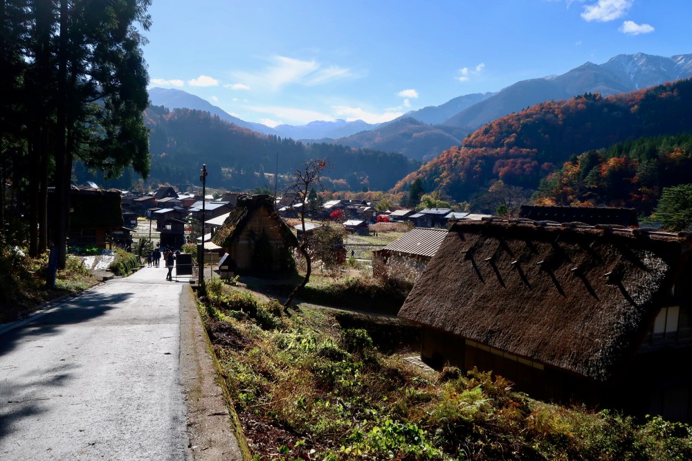 Going up the hill for a view