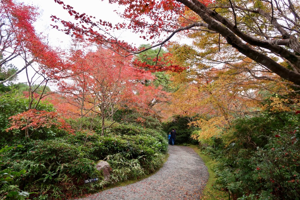 In the Secret Garden - empty pathways