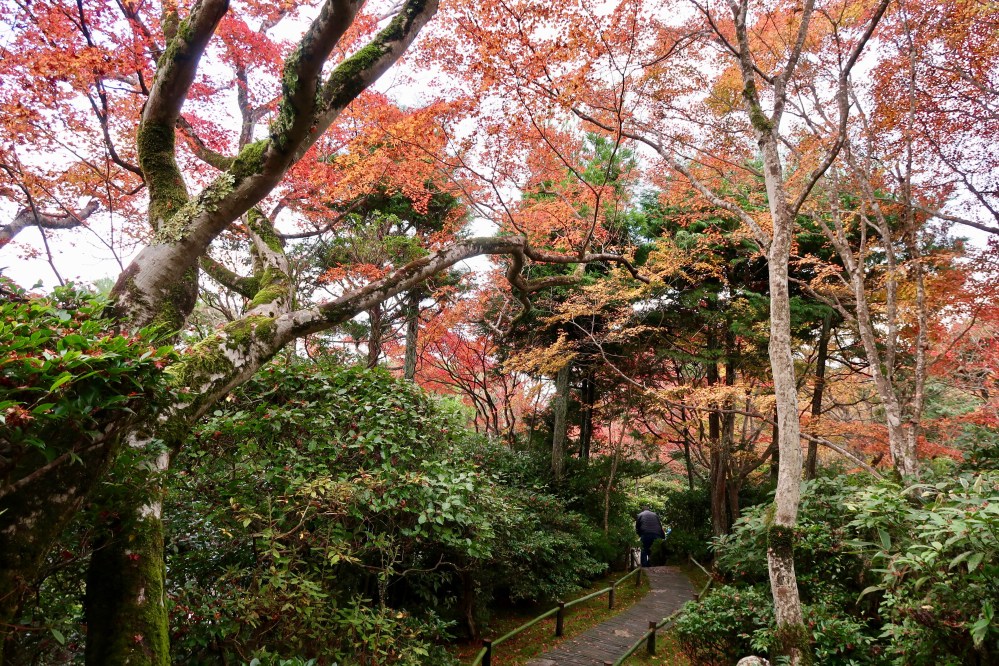 In the Secret Garden