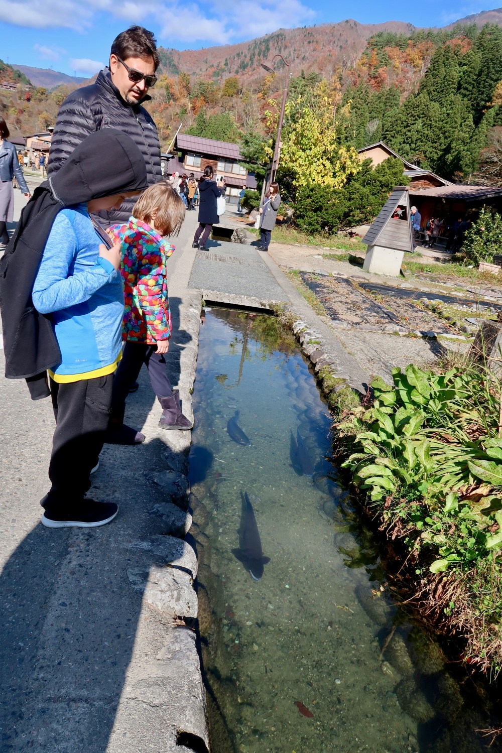 Keep your fish as fresh as possible by housing them in the stream in front of your house