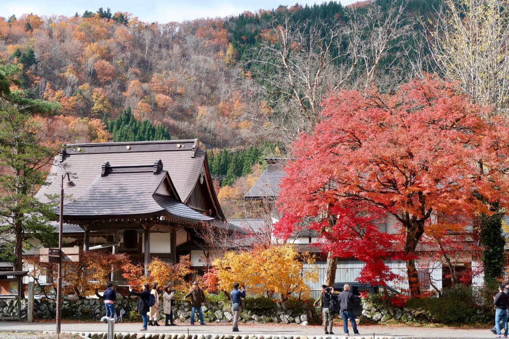 Lots of tourists in my photos!!