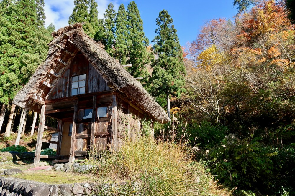 Loved this little tiny house