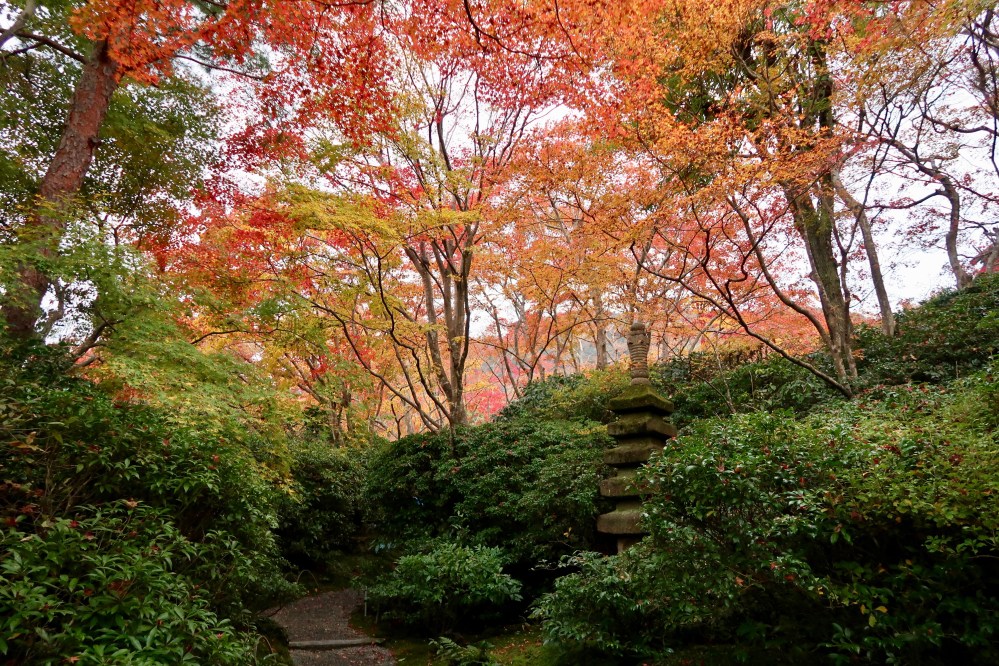 Me and my autumn photos. I've never experienced an autumn like this, all you spoiled lot! Seven years in the tropics