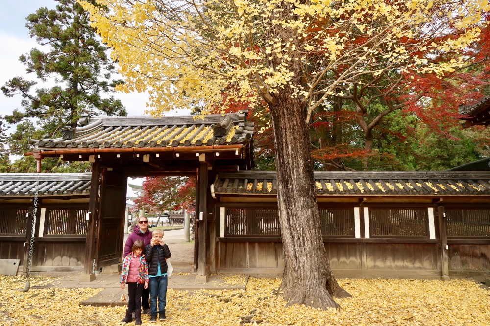 Walking through golden leaves
