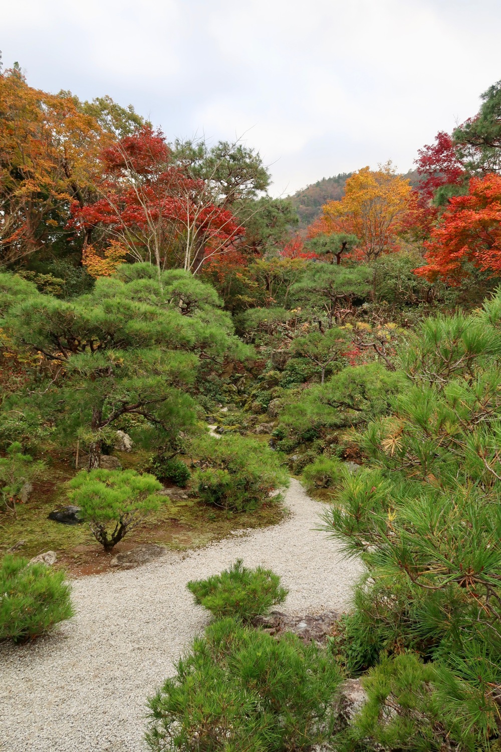 With a little path disappearing into the forest